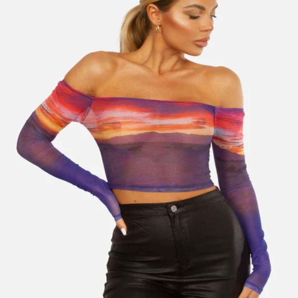 Printed Long Sleeve Mesh Printed Crop Top